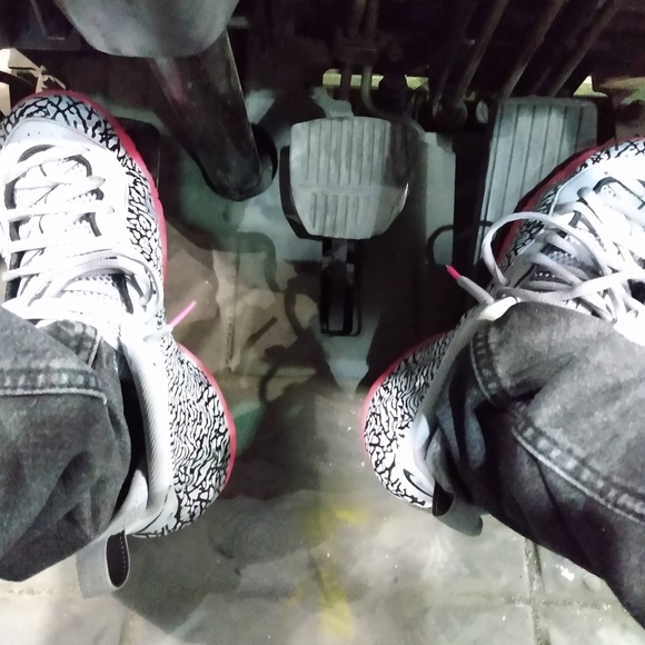 Levi Lauren - Picture 6 of 15